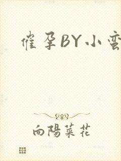 催孕BY小蛮腰