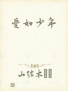 爱如少年