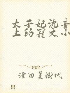 太子妃沈音和皇上的宠文小说