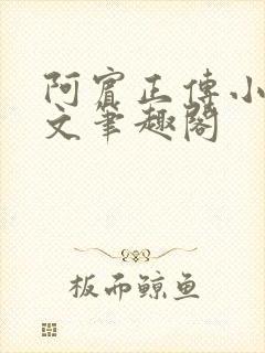 阿宾正传小说全文笔趣阁