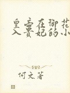 皇帝在御花园进入贵妃的小说