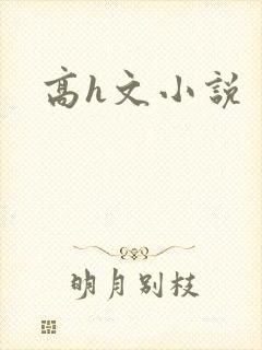 高h文小说