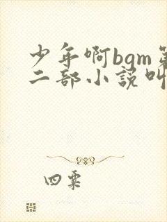 少年啊bgm第二部小说叫什么