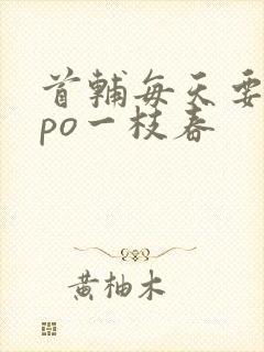 首辅每天要不够po一枝春封面