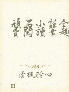 顽石小说全文免费阅读笔趣阁