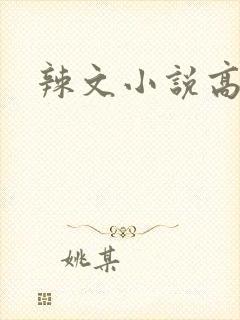 辣文小说高h