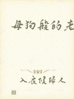 母狗般的老师封面