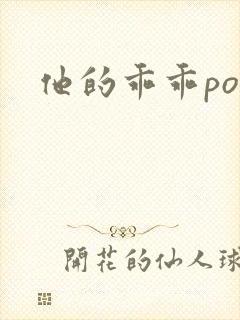 他的乖乖pop封面