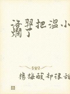 洛羿把温小辉做烂了