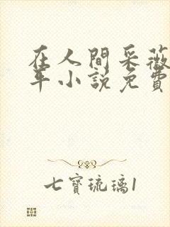 在人间采薇陆三平小说免费阅读