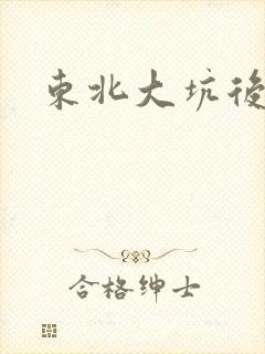 东北大坑后续2