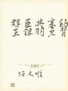 群臣共享的小公主银羽免背刺封面