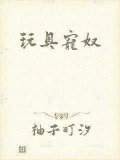 玩具宠奴