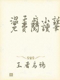 温柔瘾小说全文免费阅读笔趣阁