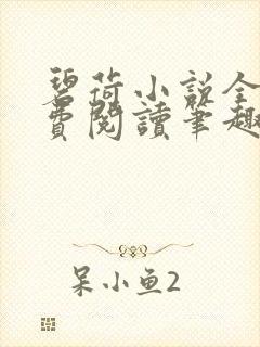 碧荷小说全文免费阅读笔趣阁
