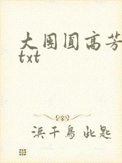 大团圆高芳小说txt