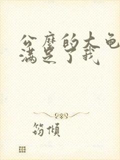 公么的大龟强大满足了我