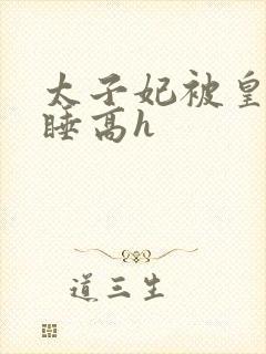 太子妃被皇上强睡高h封面