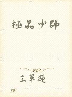 极品少帅