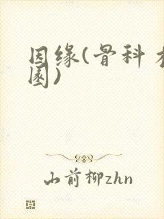 因缘(骨科 校园)