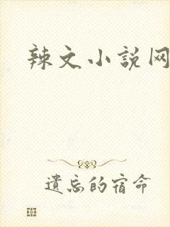 辣文小说网