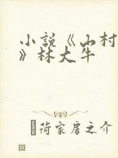 小说《山村情事》林大牛