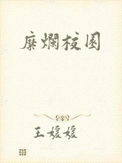 糜烂校园封面