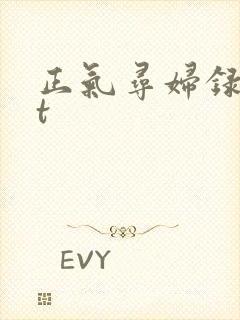 正气寻妇录txt