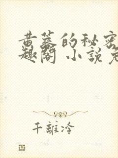 黄蓉的秘密 笔趣阁 小说免费阅读下载封面