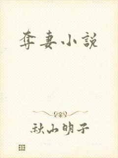 夺妻小说