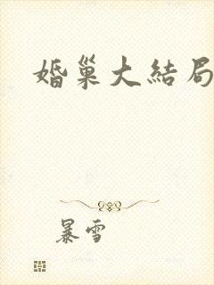 婚巢大结局封面