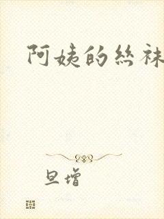 阿姨的丝袜小说