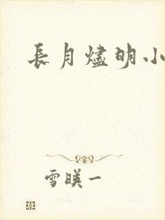 长月烬明小说封面