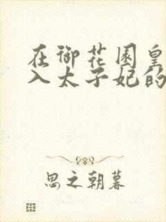 在御花园皇上进入太子妃的小说