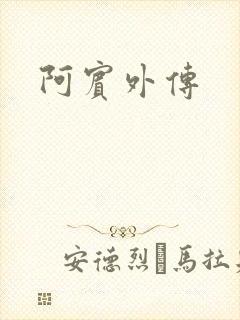 阿宾外传封面
