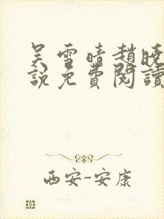 吴雪晴赵晓东小说免费阅读封面
