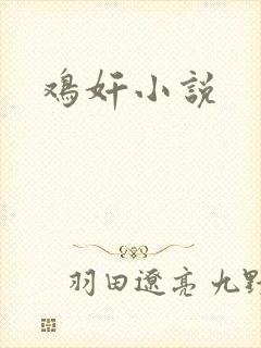 鸡奸小说