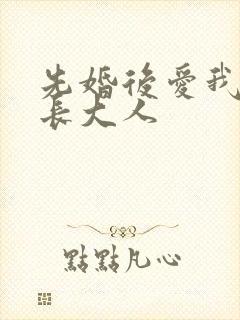 先婚后爱我的市长大人封面