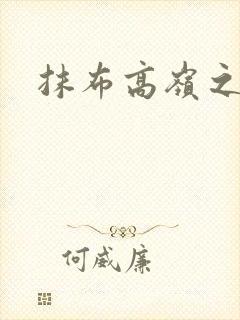 抹布高岭之花封面