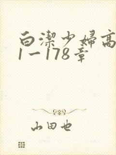 白洁少妇高义第1一178章