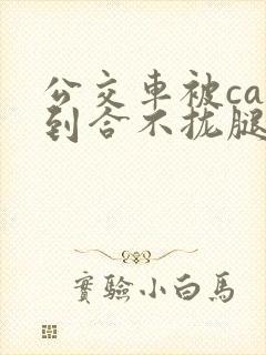 公交车被cao到合不拢腿视频
