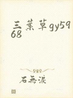 三叶草gy5968
