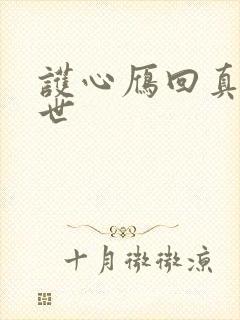 护心雁回真实身世封面