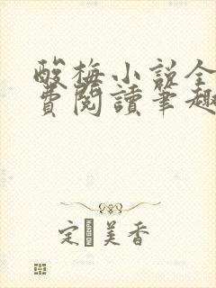 酸梅小说全文免费阅读笔趣阁