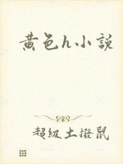 黄色h小说
