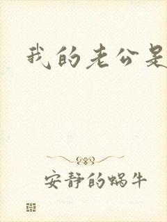我的老公是冥王