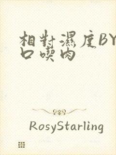 相对湿度BY大口吃肉封面