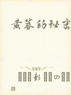 黄蓉的秘密