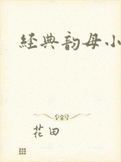 经典韵母小说