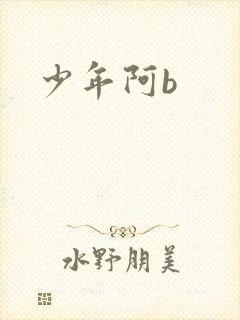 少年阿b封面